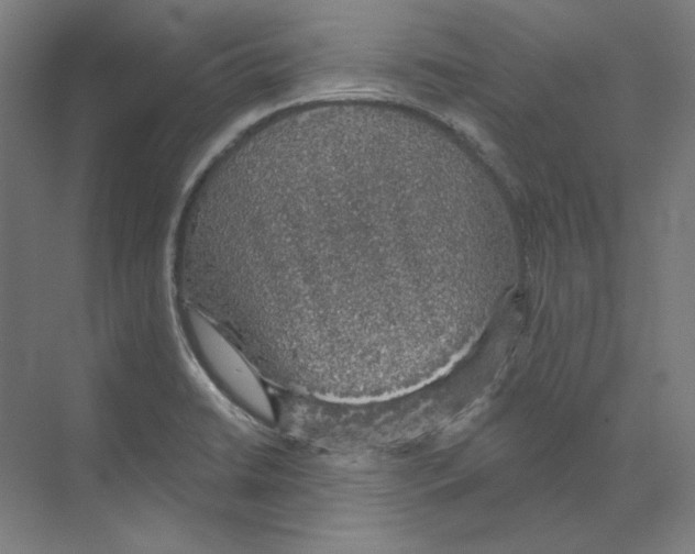 X0000068841422200606021657