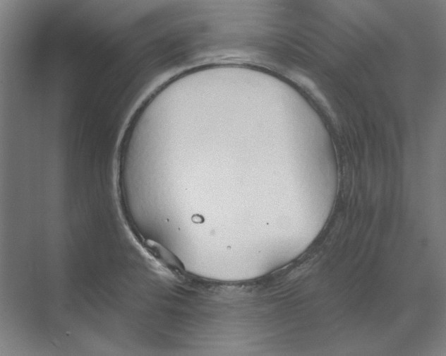 X0000068841424200606021657