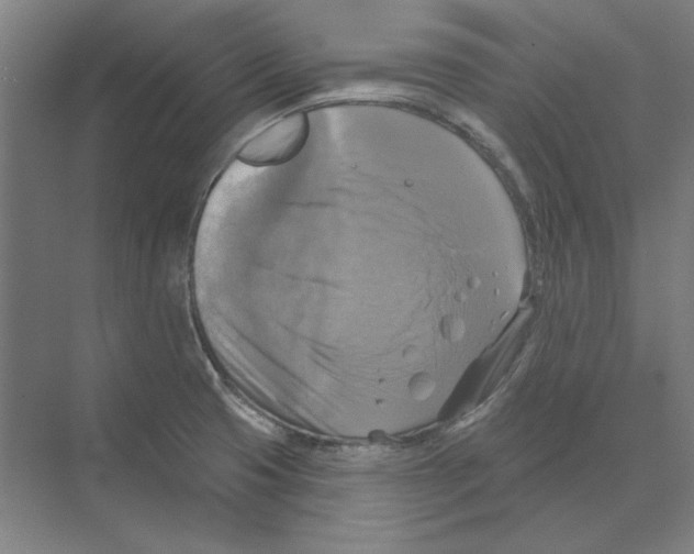 X0000068841425200606021657