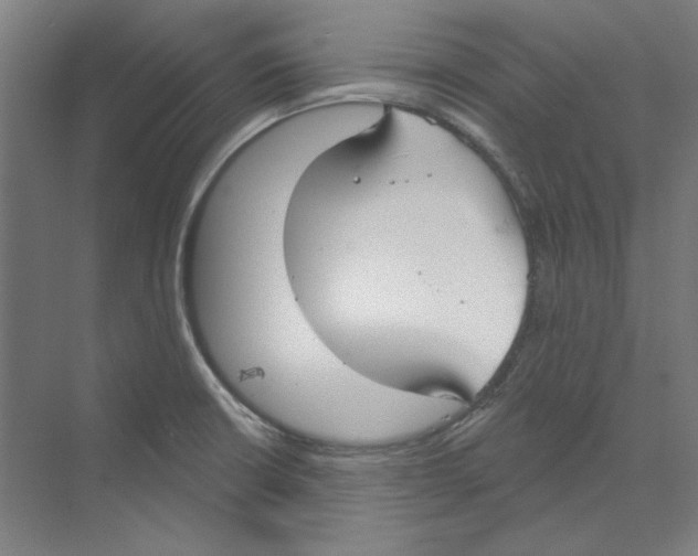 X0000068841426200606021657