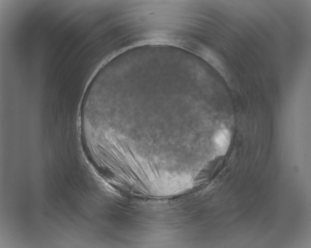 X0000068841428200606021657