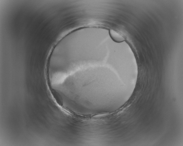 X0000068841429200606021657