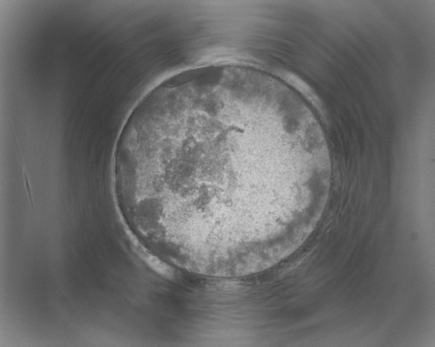 X0000068841431200606021657