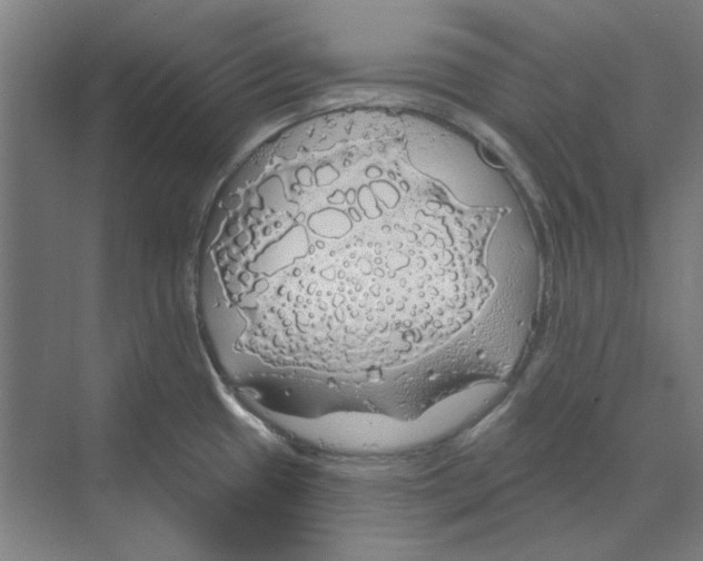 X0000068841433200606021657