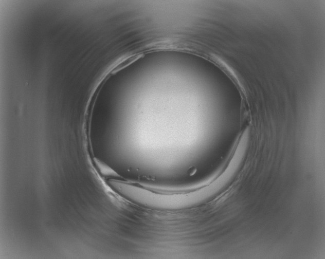 X0000068841434200606021657