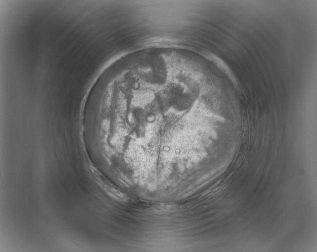 X0000068841435200606021657