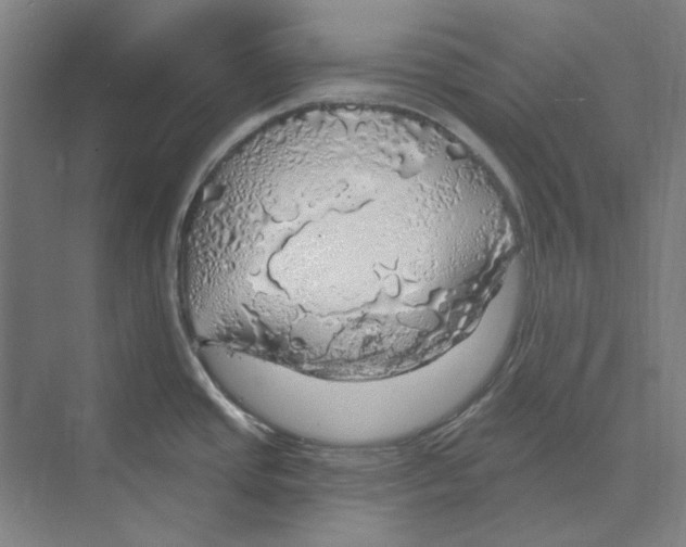 X0000068841437200606021657