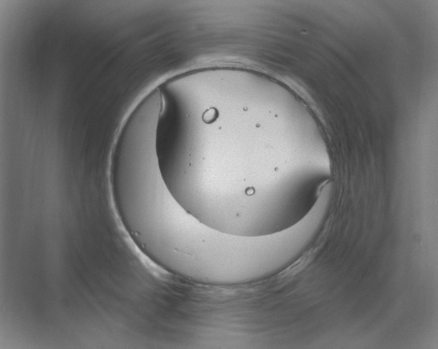 X0000068841438200606021657