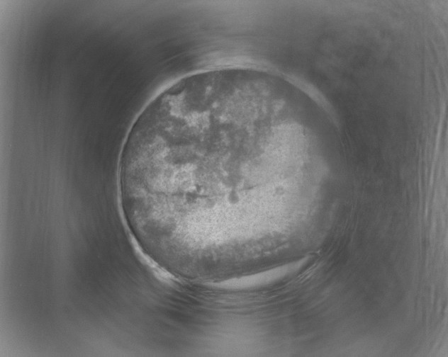 X0000068841439200606021657