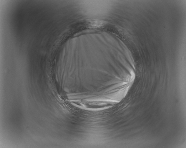 X0000068841441200606021656