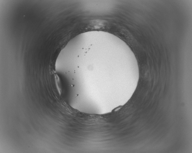 X0000068841442200606021656