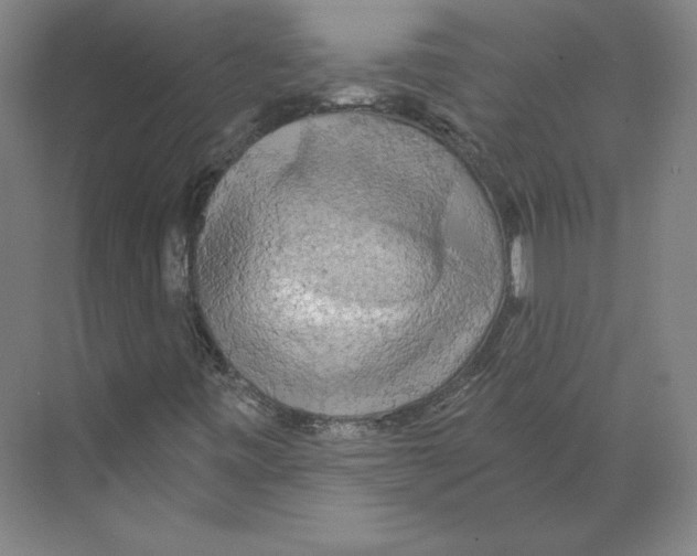 X0000068841443200606021656