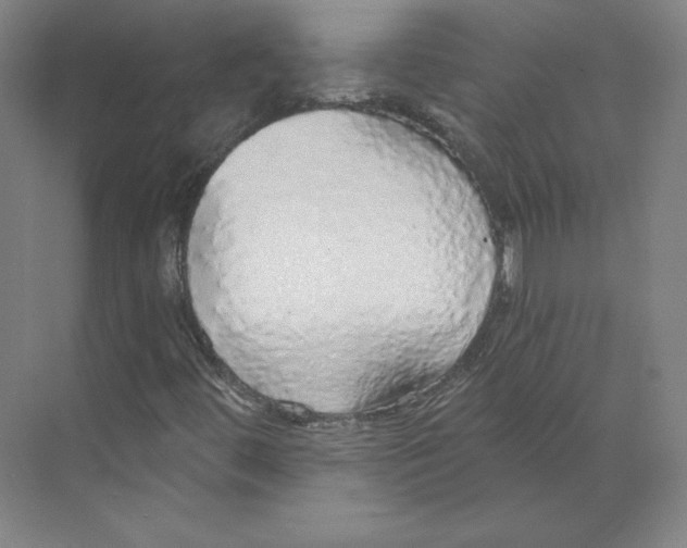 X0000068841444200606021656