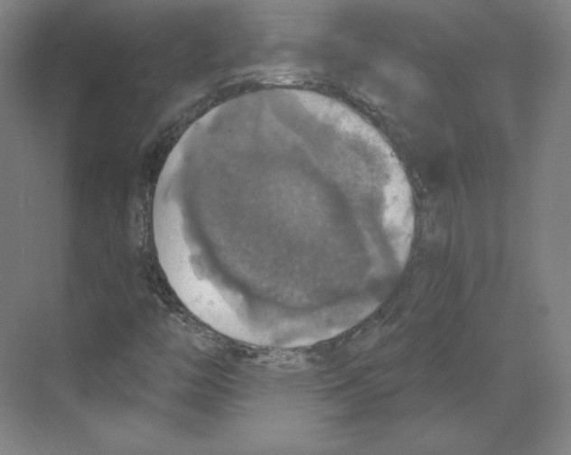 X0000068841446200606021656