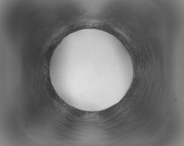 X0000068841447200606021656