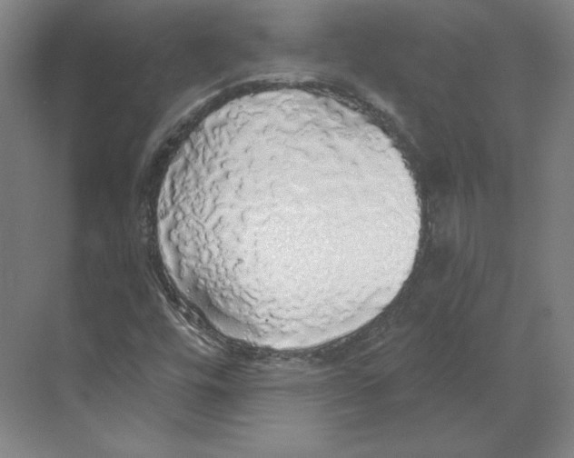 X0000068841448200606021656