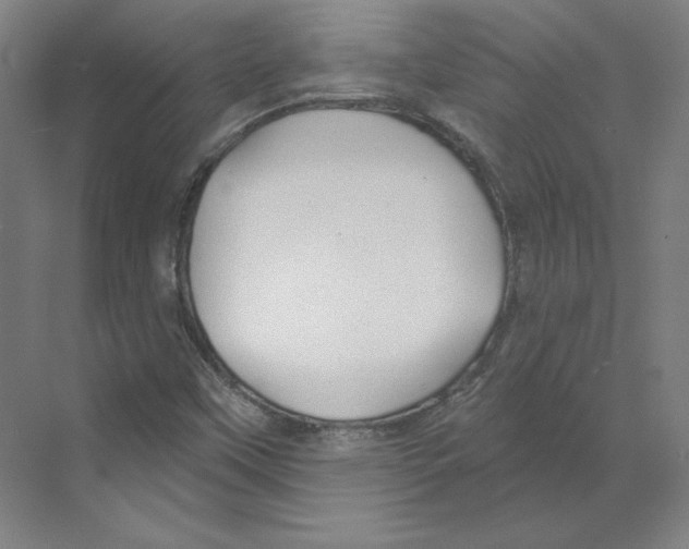 X0000068841451200606021656