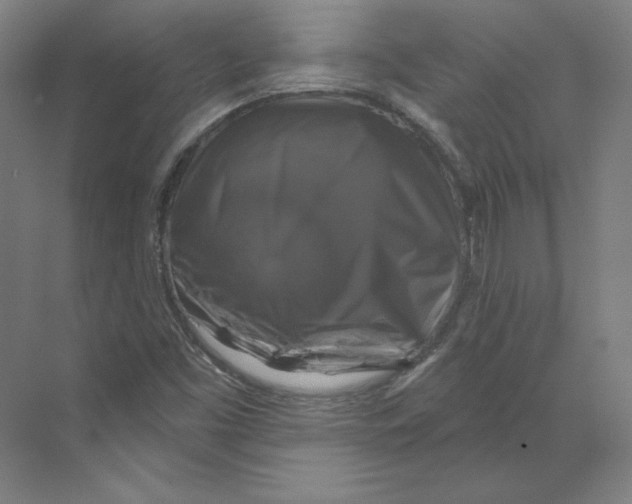 X0000068841453200606021656