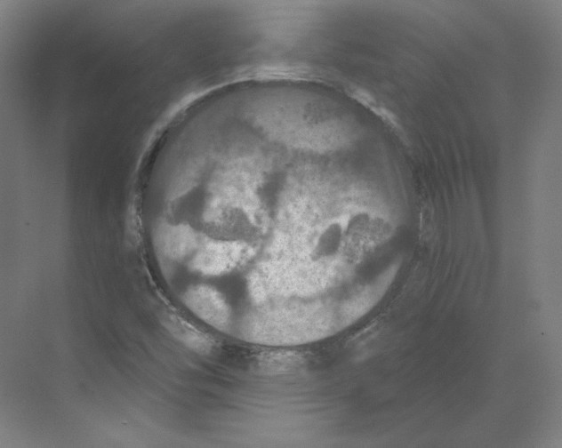 X0000068841454200606021656