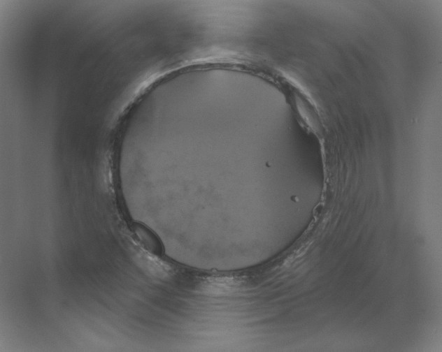 X0000068841455200606021656