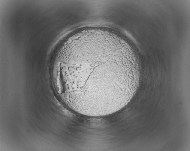 X0000068841456200606021656