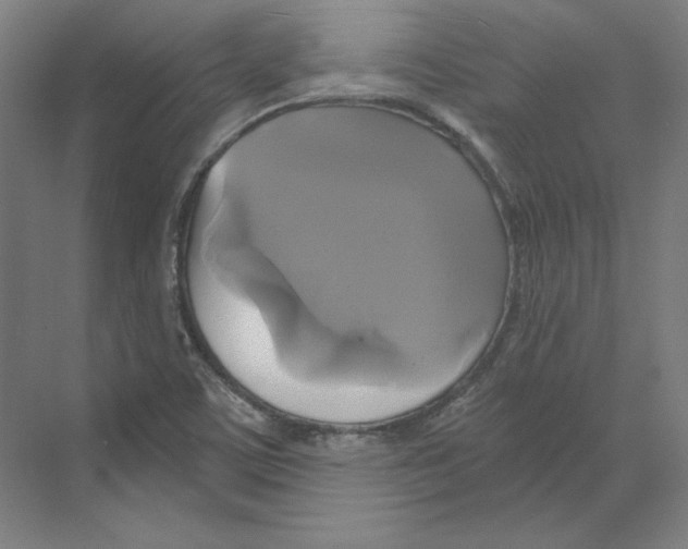 X0000068841459200606021656