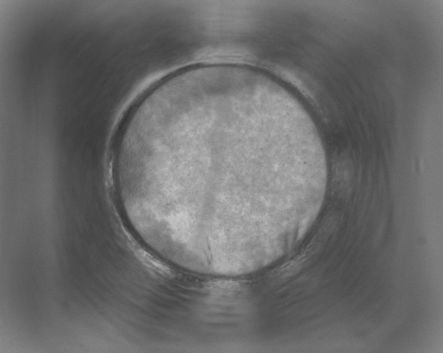 X0000068841462200606021656