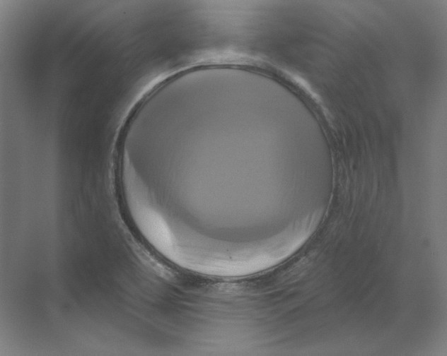 X0000068841463200606021656