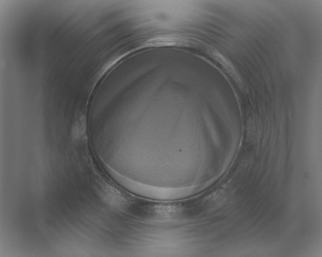 X0000068841465200606021656