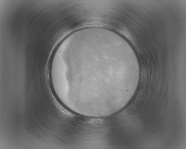 X0000068841466200606021656