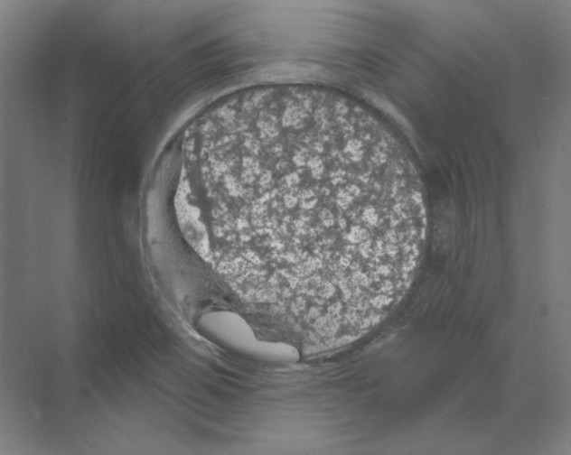 X0000068841467200606021656