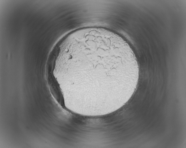 X0000068841468200606021656