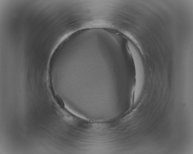 X0000068841469200606021656