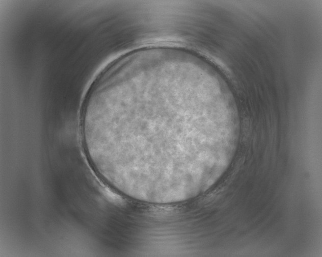 X0000068841470200606021656