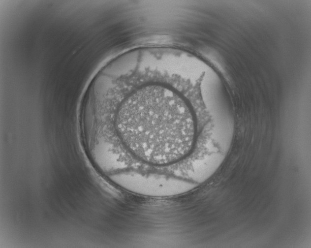 X0000068841475200606021656