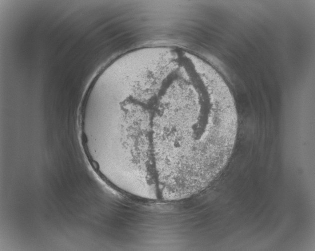 X0000068841476200606021656