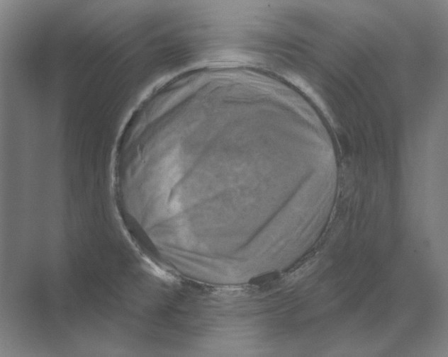 X0000068841477200606021656