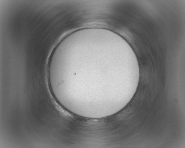 X0000068841478200606021656