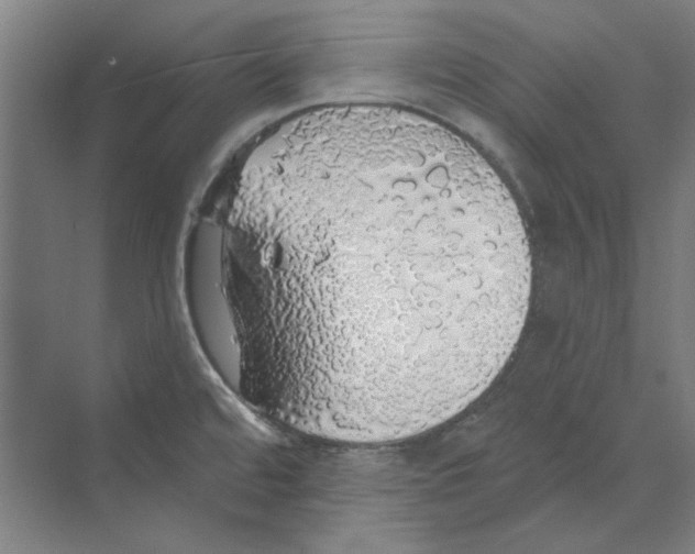 X0000068841480200606021656