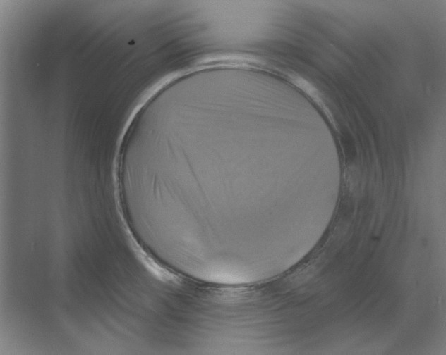 X0000068841482200606021656