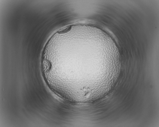 X0000068841483200606021656