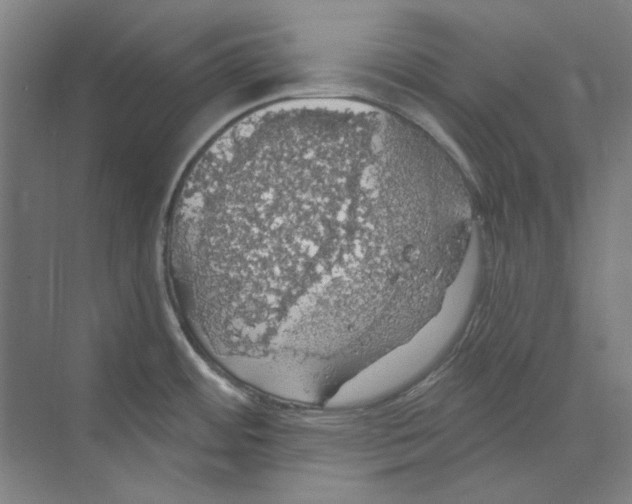 X0000068841484200606021656