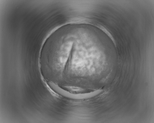 X0000068841485200606021656