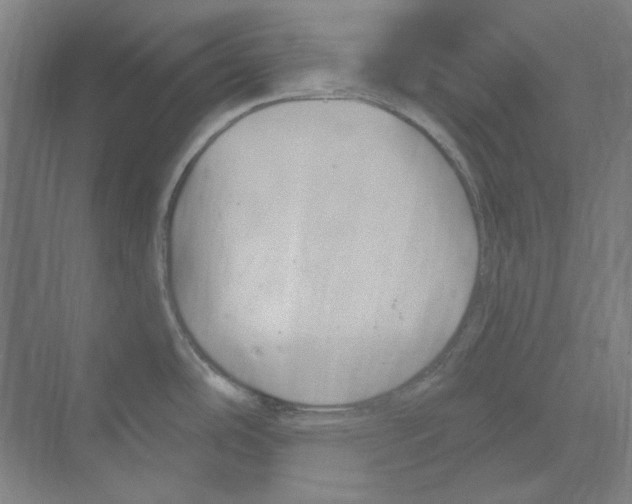 X0000068841486200606021656