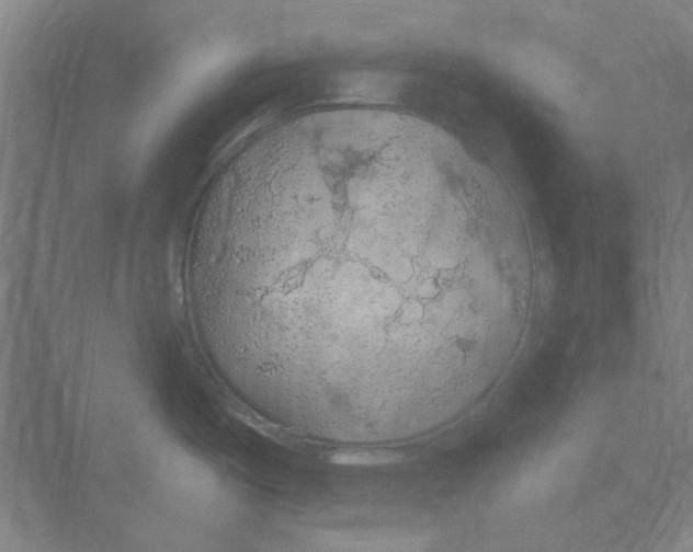 X0000068841487200606021656