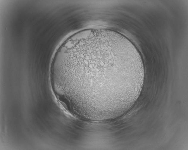 X0000068841488200606021656