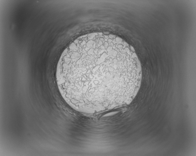 X0000068841489200606021655