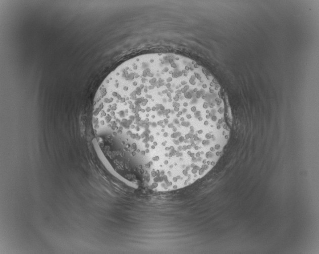 X0000068841490200606021655