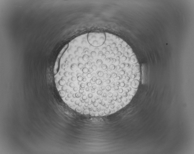 X0000068841491200606021655