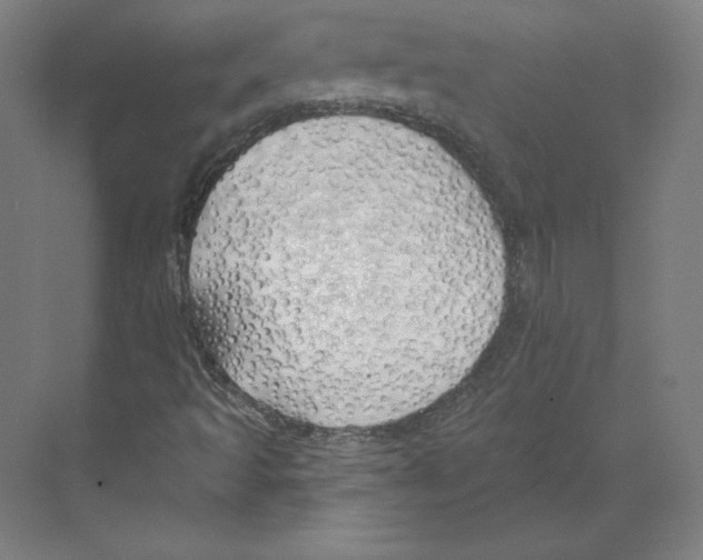 X0000068841493200606021655